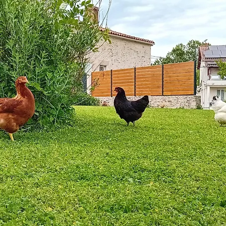 Au Bonheur Du Puy Semesterbostad Moutiers-sur-le-Lay
