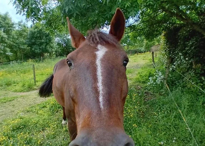 Au Bonheur Du Puy * Moutiers-sur-le-Lay